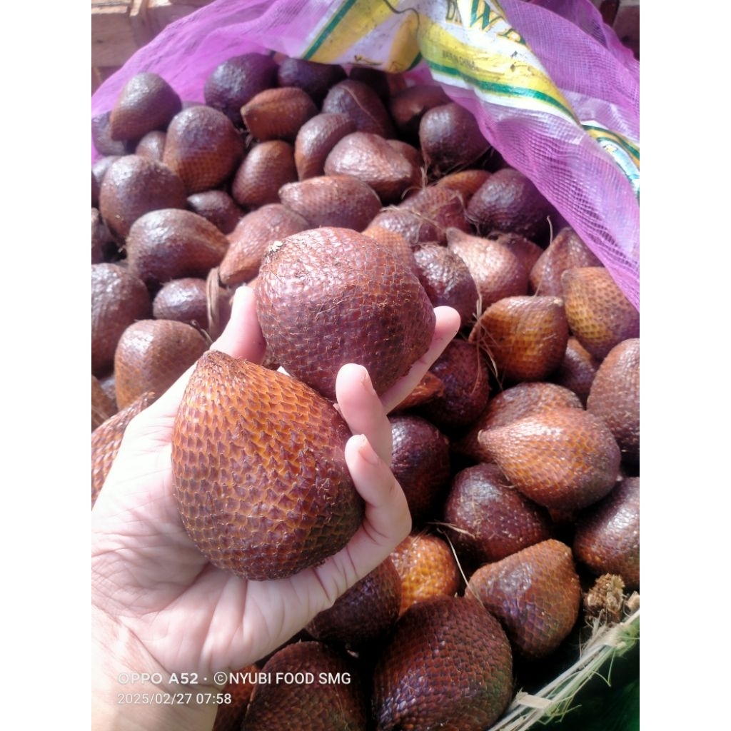 

salak pondoh manis 1 Kg