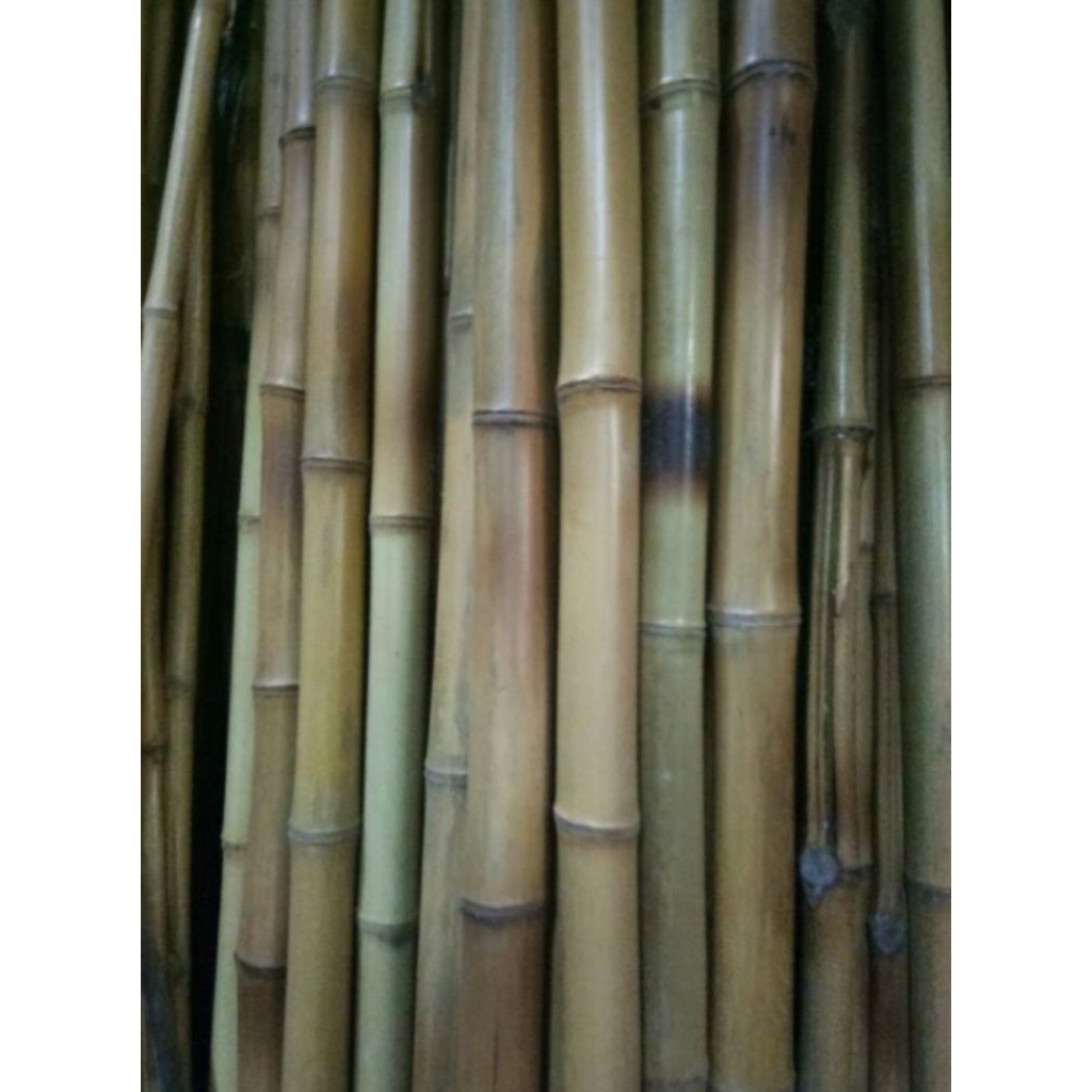 Tongkat Bambu Cendani 120 cm Tongkat bambu murah