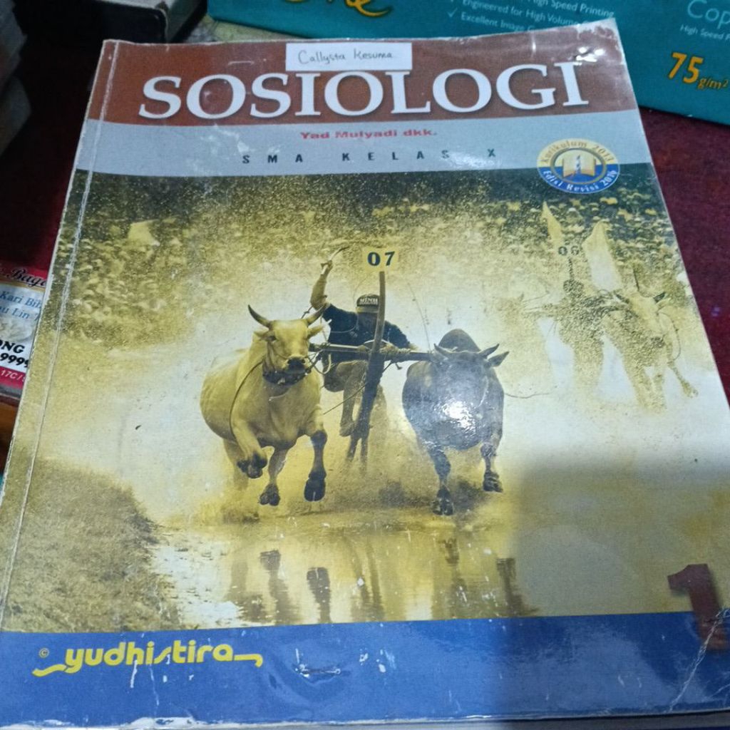 Buku Sosiologi sma 1 yudhistira