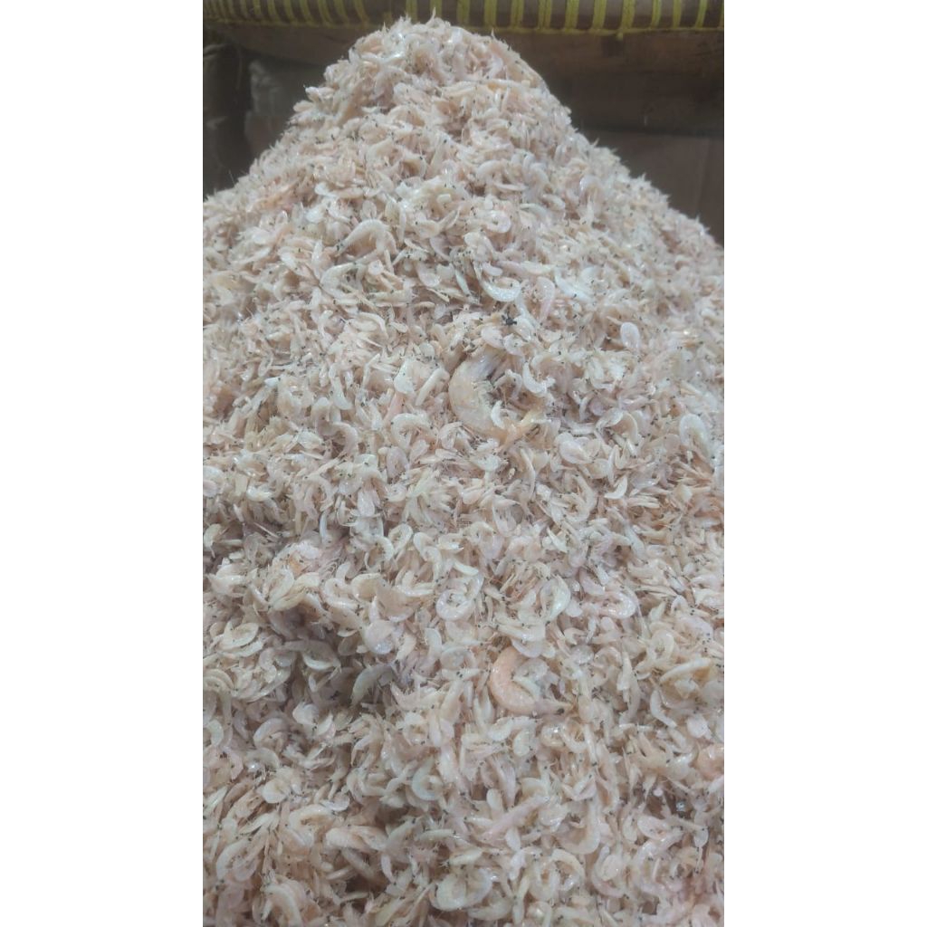 

UDANG REBON KEMASAN 250GR