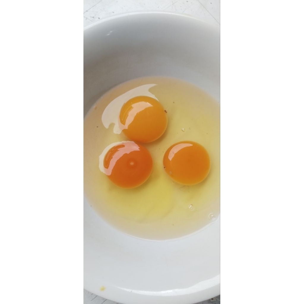 

TELUR OMEGA 3 (15KG) isi 15-16 butir