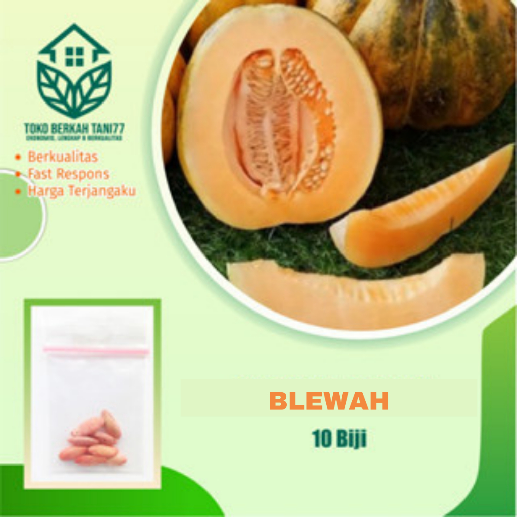 Benih Buah Blewah Bibit Buah Blewah Benih Buah-buahan Berkualitas