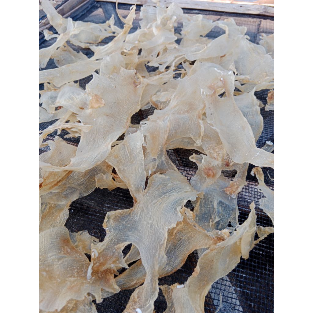 

fishmaw(gelembung patin)