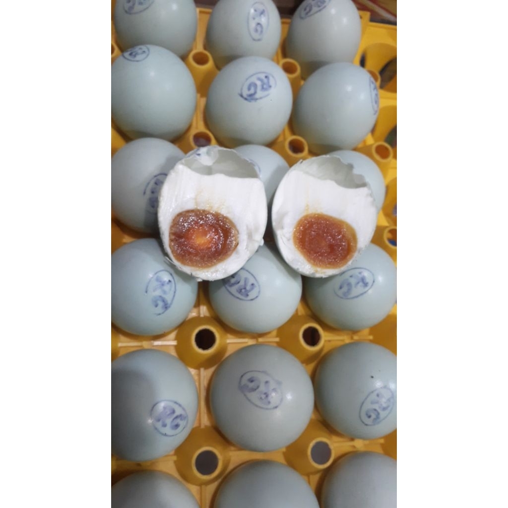 

TELUR ASIN BERMINYAK ENAK BERGIZI