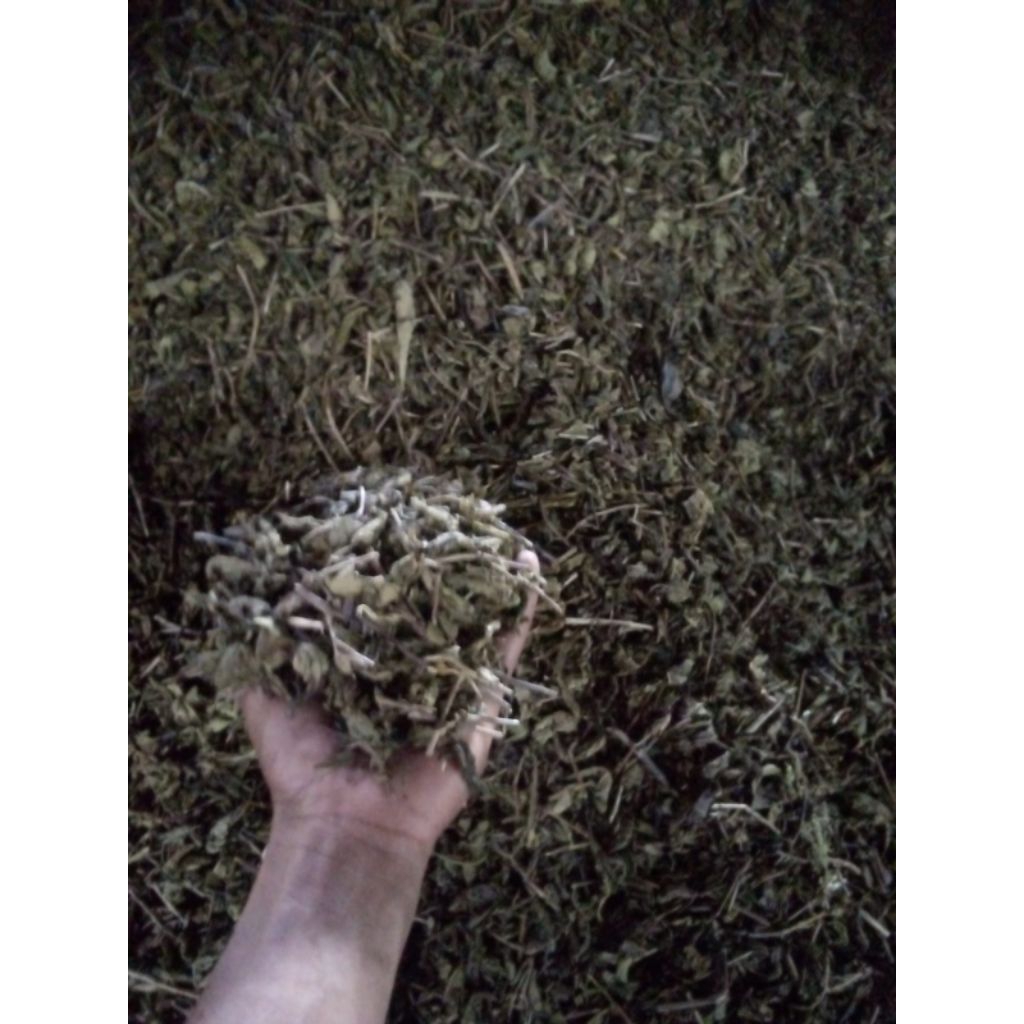 

teh hijau 1kg murni