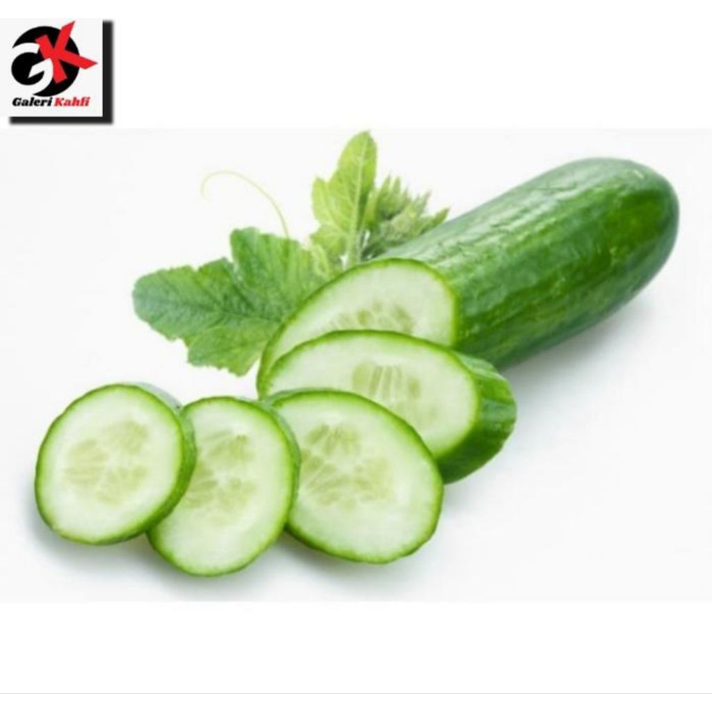 

Timun Segar Berkualitas Grade A - 500gr