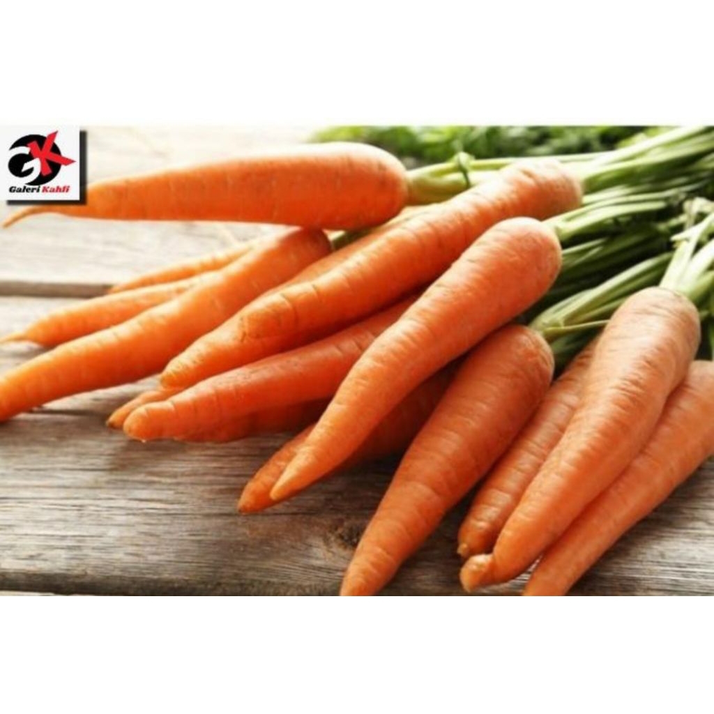 

Wortel Segar Berkualitas Grade A - 500gr