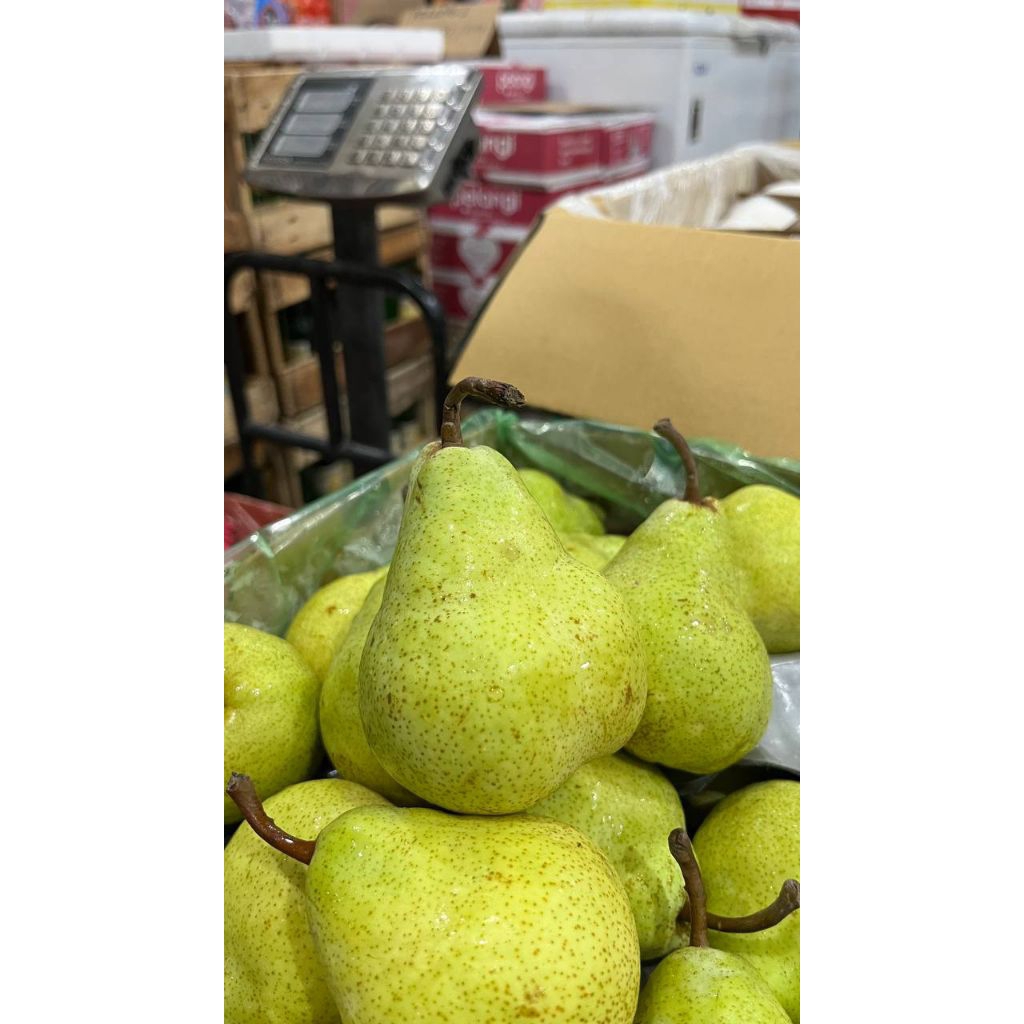 

Pear Hijau Packam -+1kg