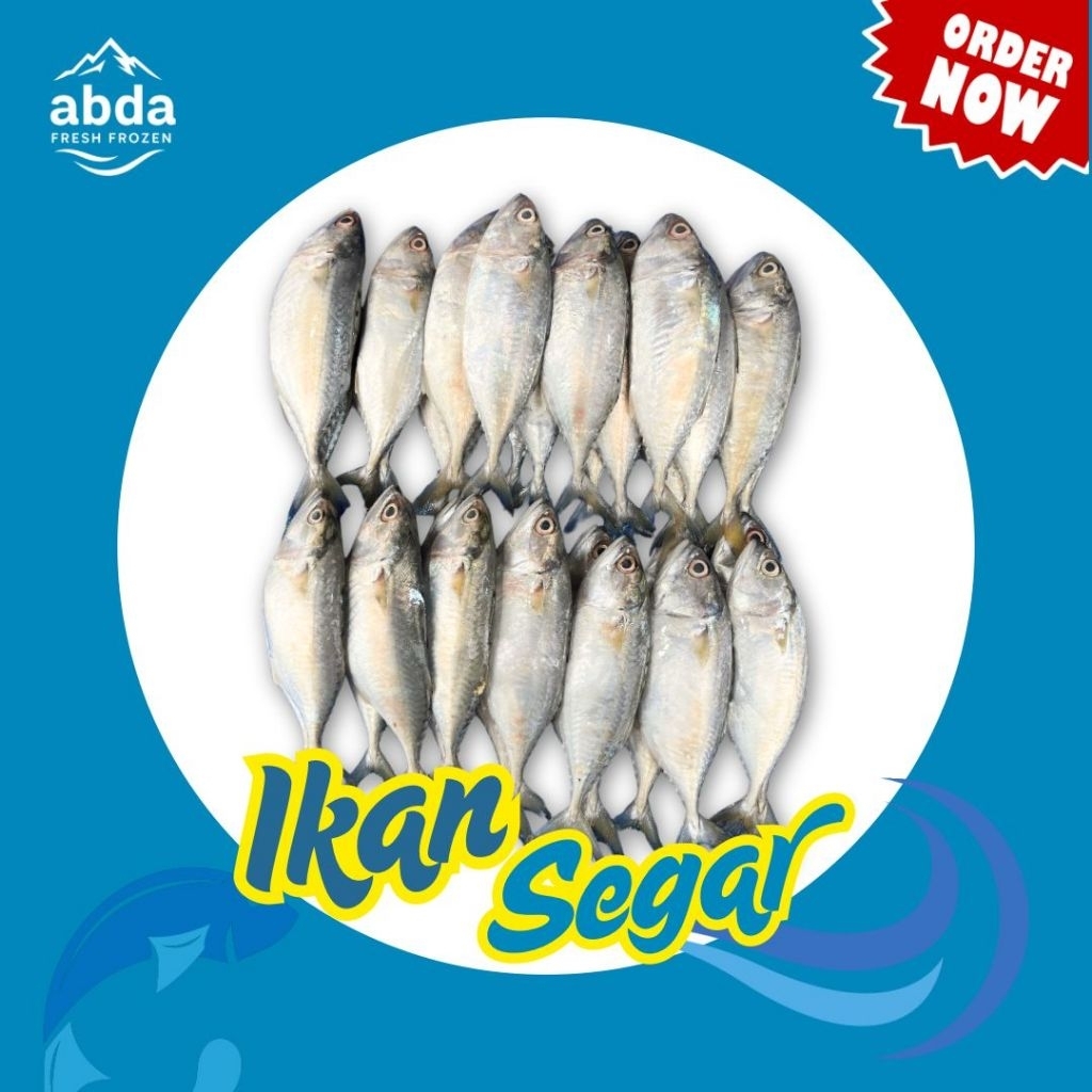 

Ikan Kembung Banjar 950gr - 1kg (1000gram)