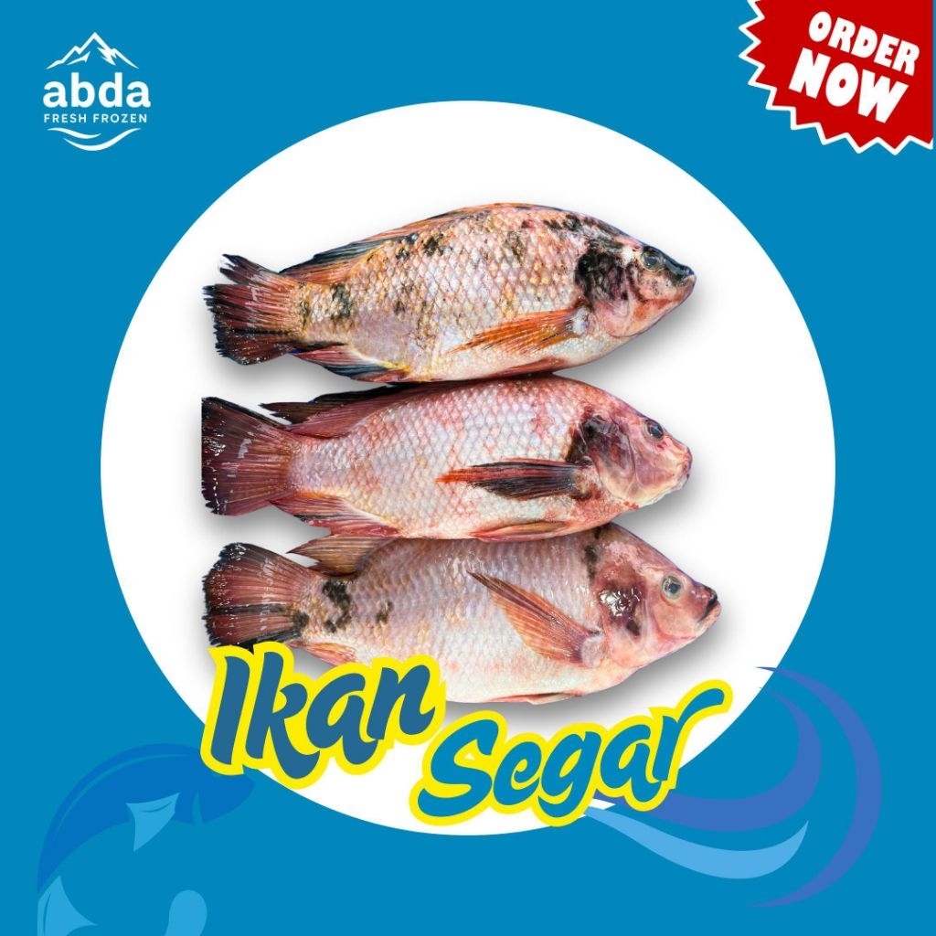 

Ikan Nila 950gr - 1kg
