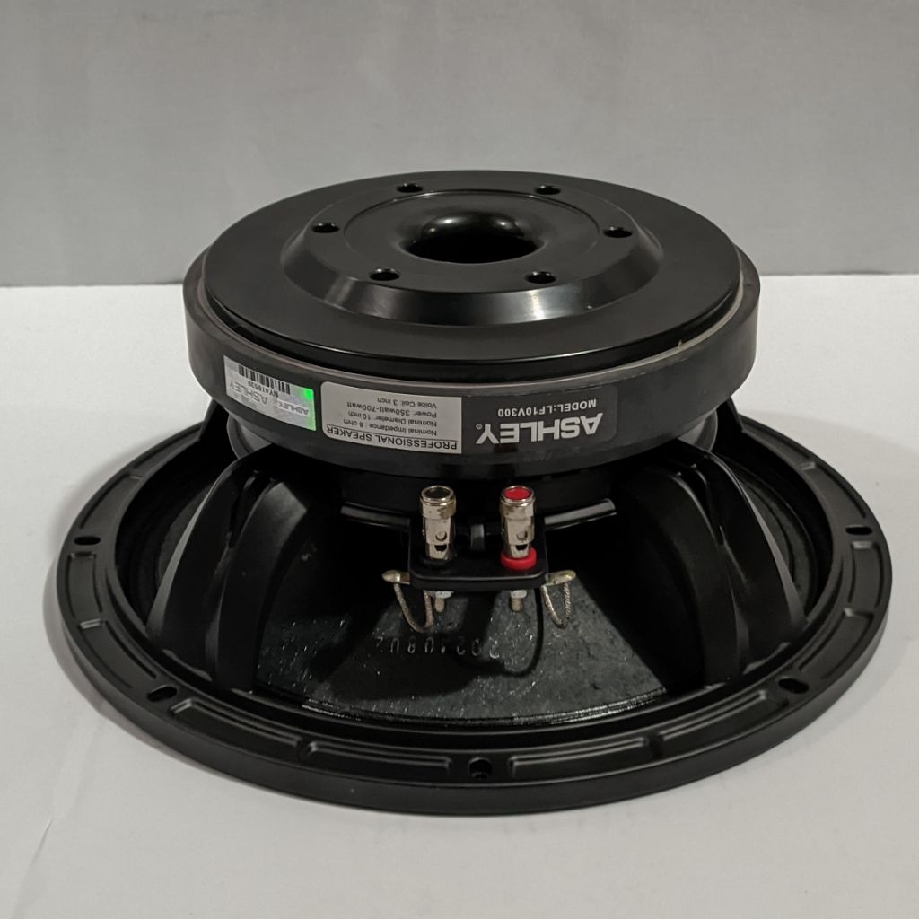 speaker 10 inch ASHLEY LF10V300