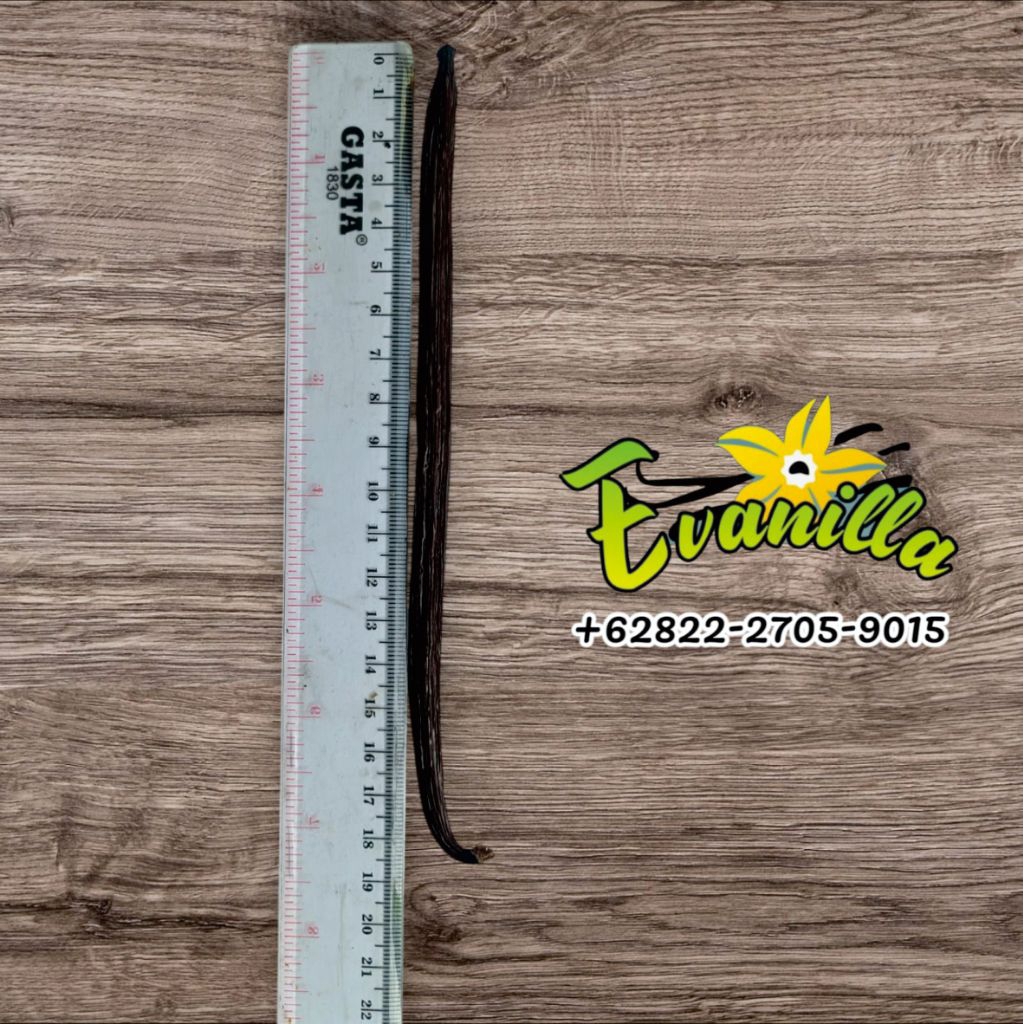 

POLONG VANILI/VANILLA BEAN GRADE A GOURMET PERBATANG