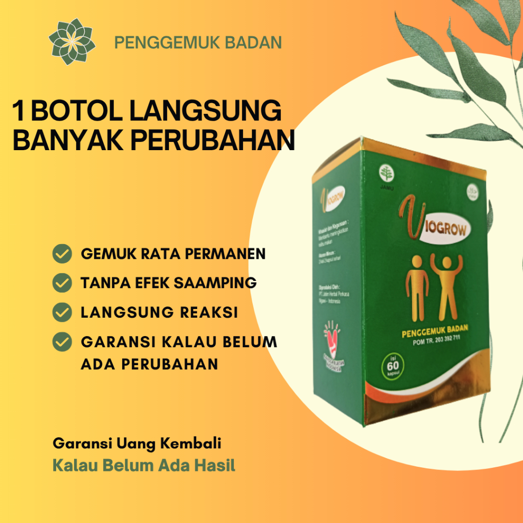 Penambah Nafsu makan Viogrow Obat gemuk Permanen Penggemuk badan herbal alami serta Berat badan biki