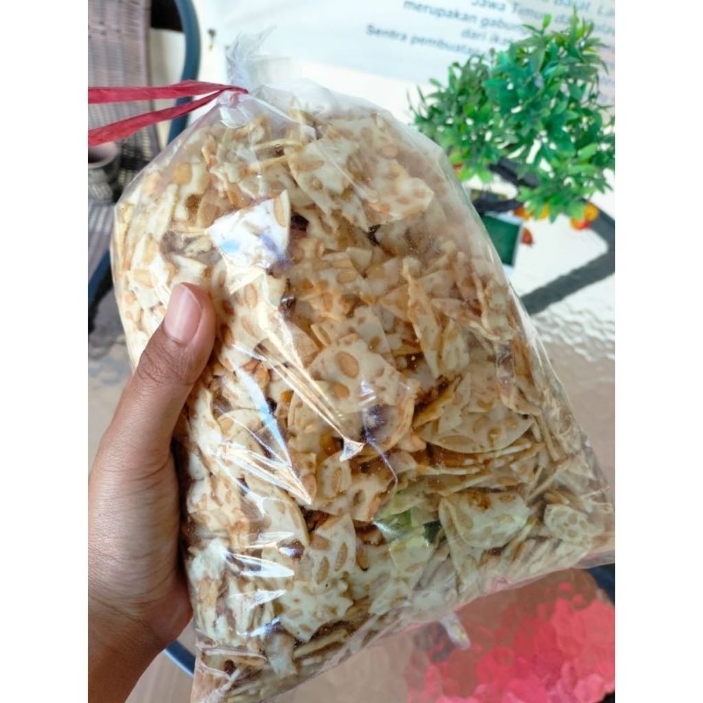 

Remukan Kripik Tempe Sagu Kemasan 500 Gram