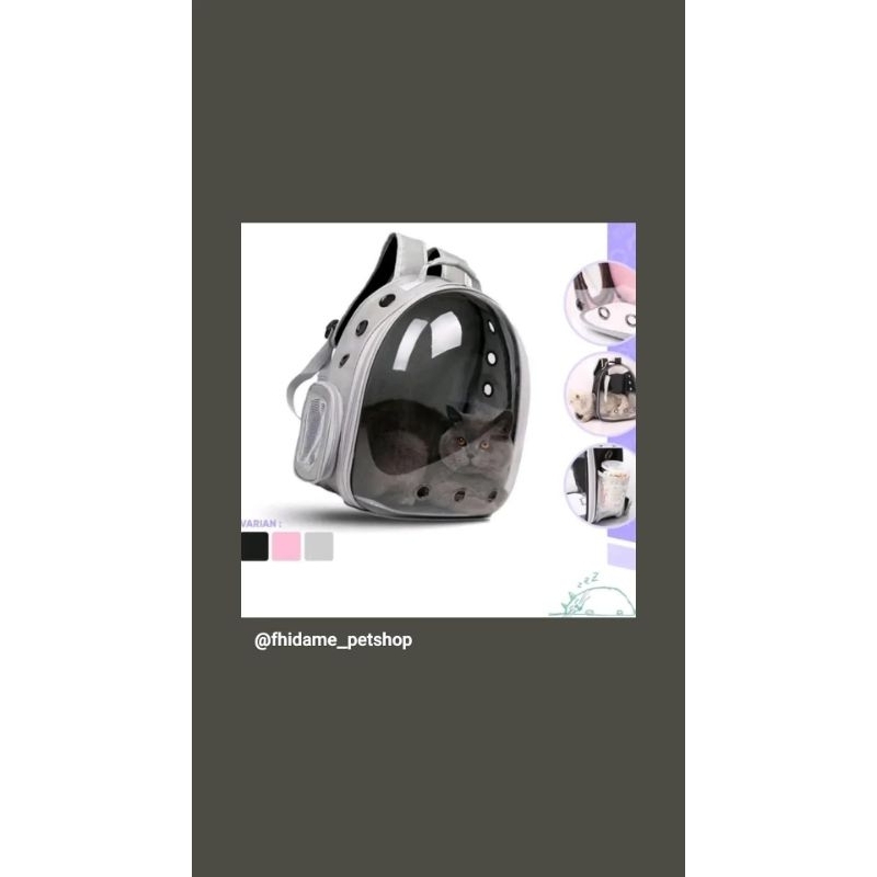 tas kucing anjing astronot