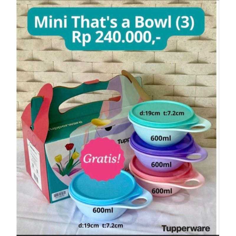 Tupperware Mini Thats a Bowl pakai Dus Ori