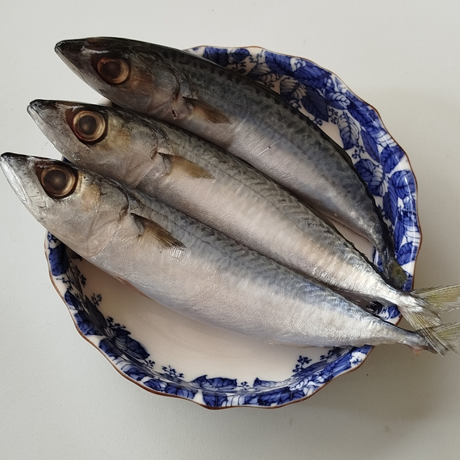 Ikan Sarden Segar 1 kg | Ikan Laut Segar | Ikan Segar Cikarang