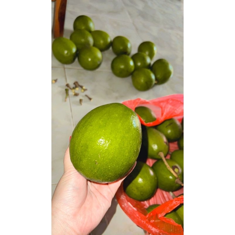 

Alpukat Miki 1KG