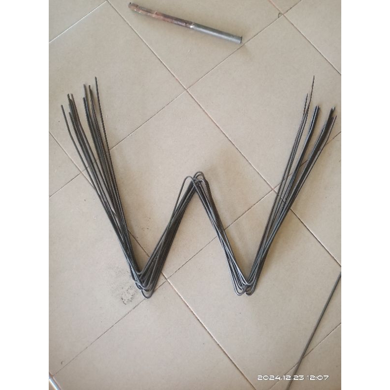 kaki umbaran burung murai