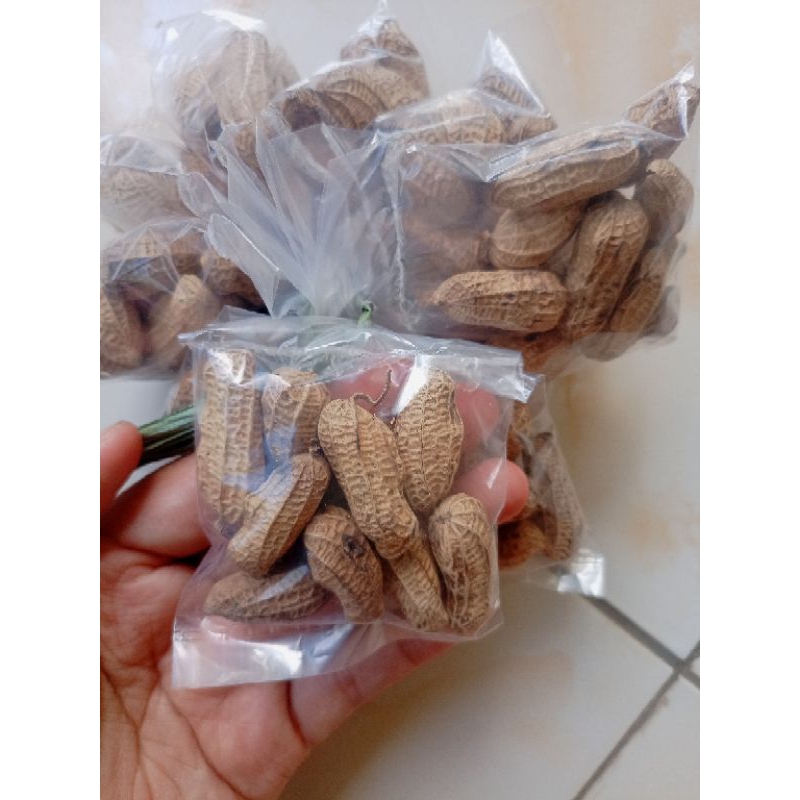 

Kacang 1000an