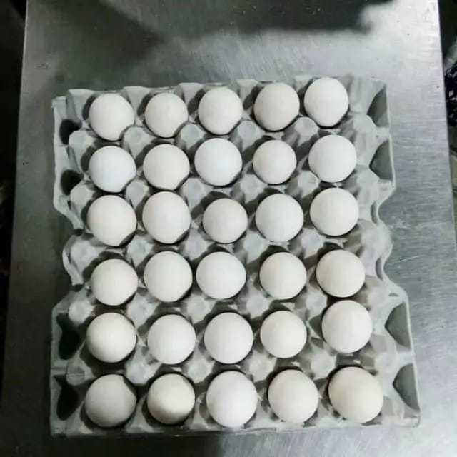 

Telur Kampung Ukuran Kecil/Butir