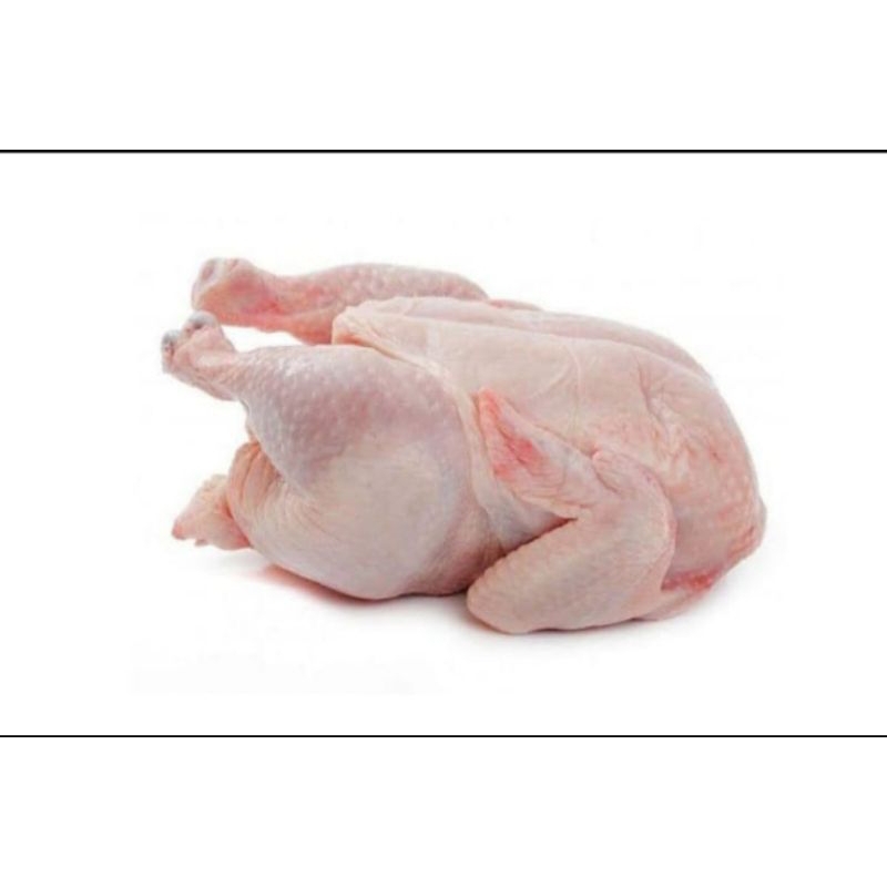 

Ayam Broiler Utuh + Hati & Ampla / Ayam Karkas Frozen Berat Bersih KURLEB 0.8Kg.