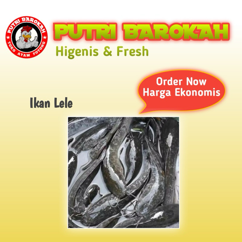 

ikan lele