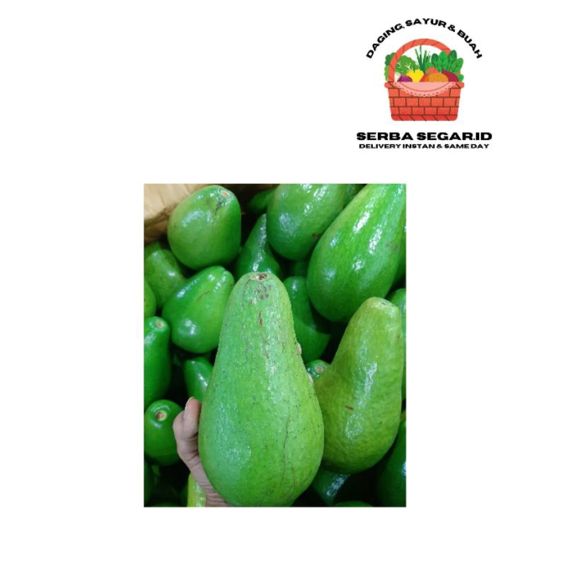 

Alpukat Mentega Super Besar 1Kg isi 2-3 Buah
