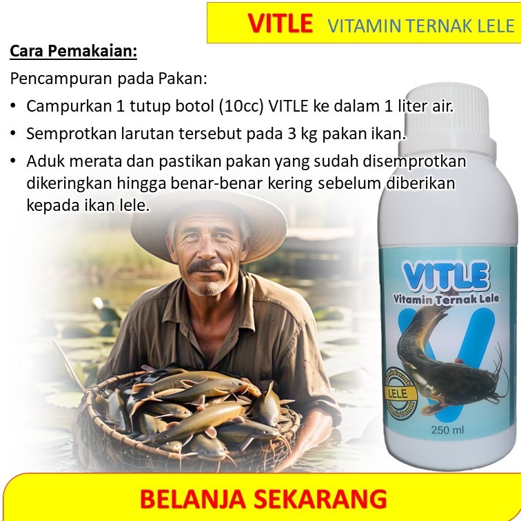 Vitamin ikan lele cepat besar / vitamin pembesar ikan lele / vitamin nafsu makan ikan lele / Vitamin