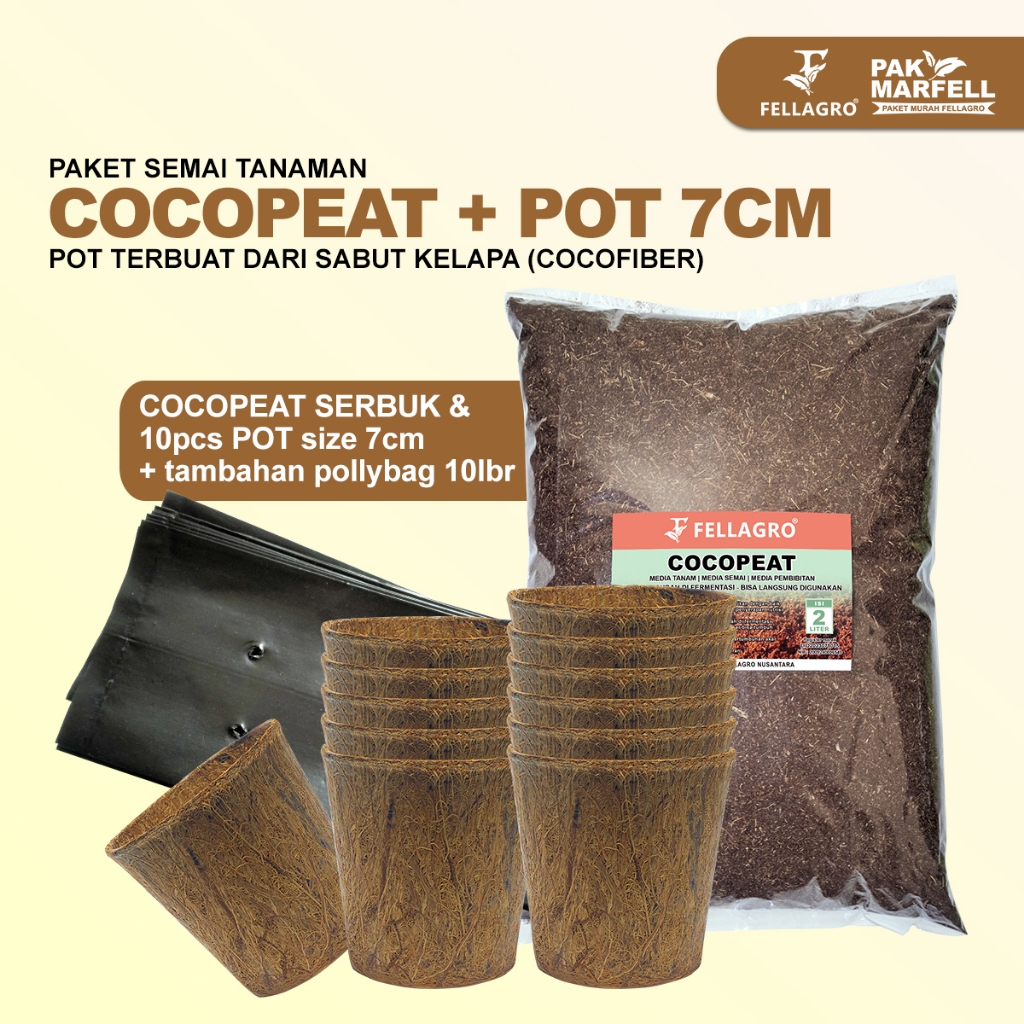 FELLAGRO PAKET MENYEMAI TANAMAN COCOPEAT DENGAN POT 7CM BUDLING PAKET SEMAI