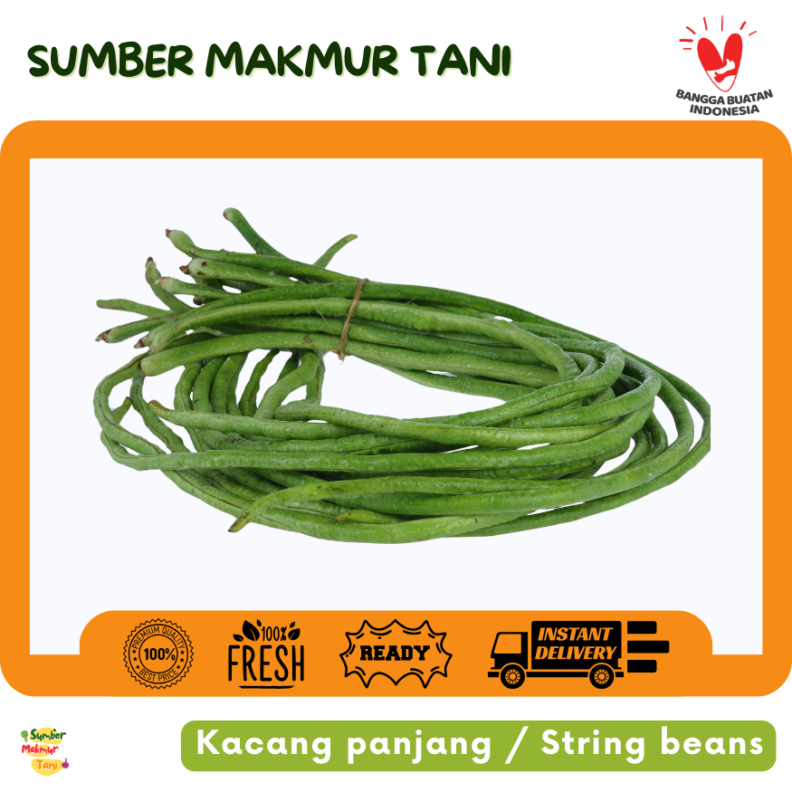 

Kacang Panjang Segar / Long Bean / Fresh Yardlong Bean / Sayur Sehat Kaya Serat – Langsung dari Petani Lokal