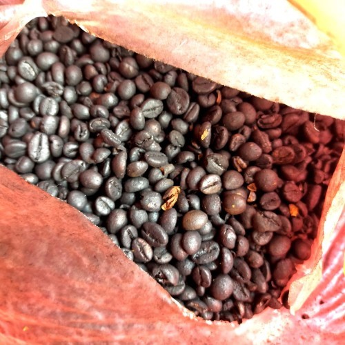 

Bahan Kopi Mentah Spesial