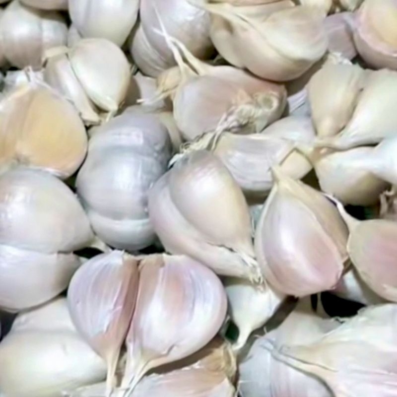 

Bawang Putih Kating Bersih
