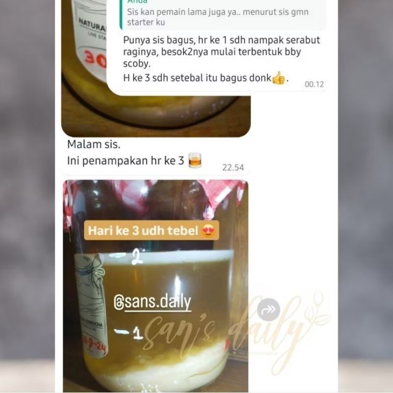 

STARTER KOMBUCHA - Premium - Usia Tua - Air Aja - Gula Rendah