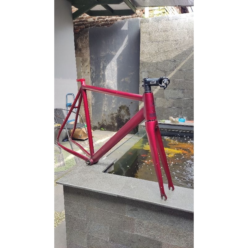 frame fixie custom