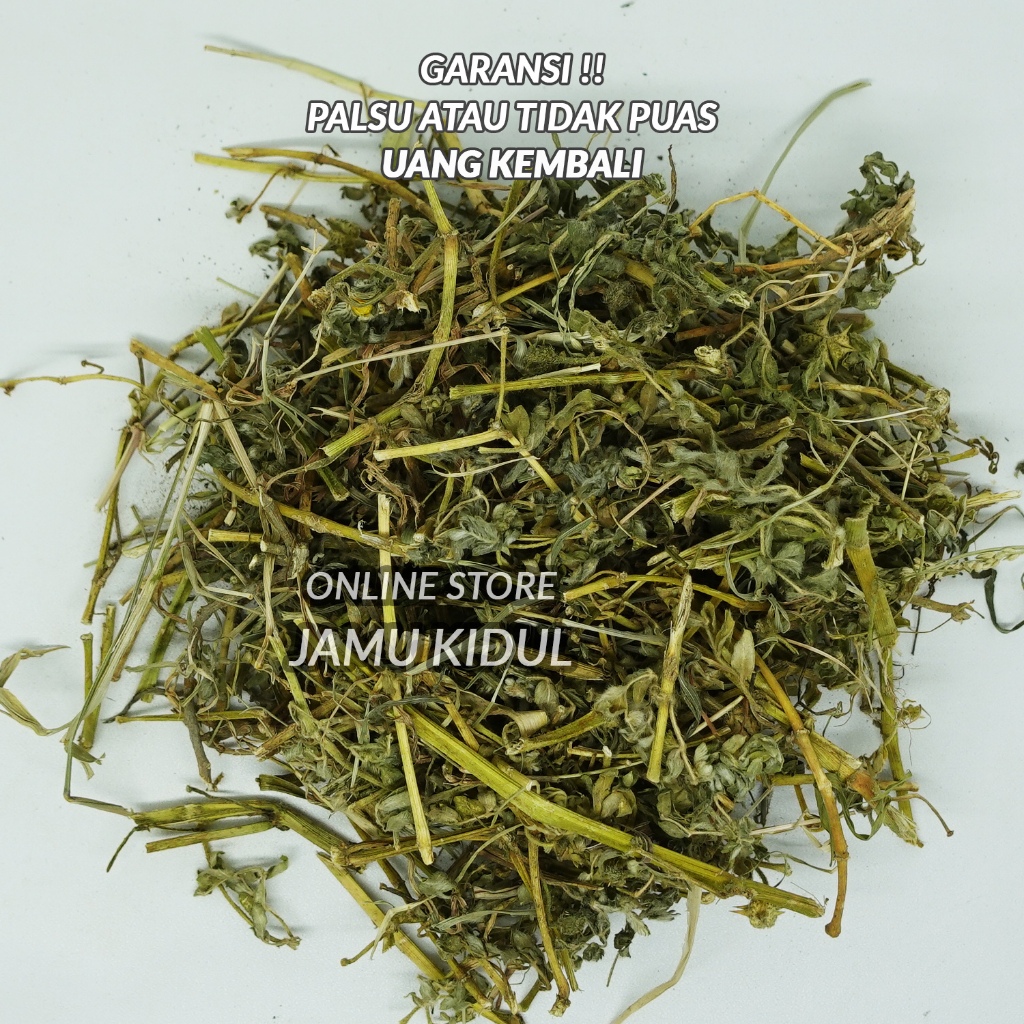 

Tribulus 250gr Kering Asli - Organik dan Bersih