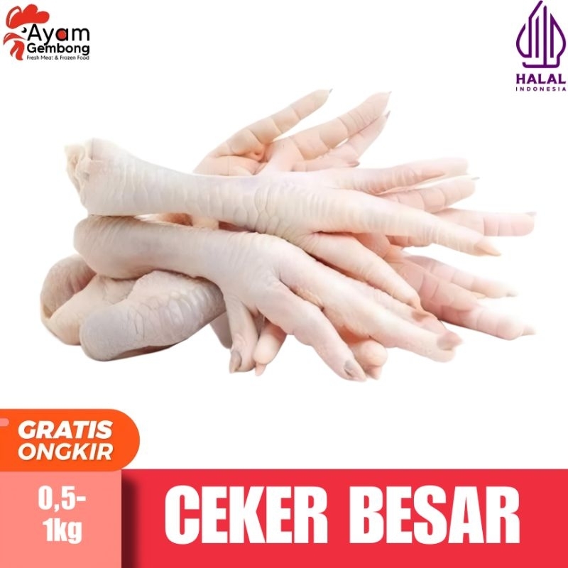 

(PROMO) CEKER BESAR AYAM BOILER MURAH