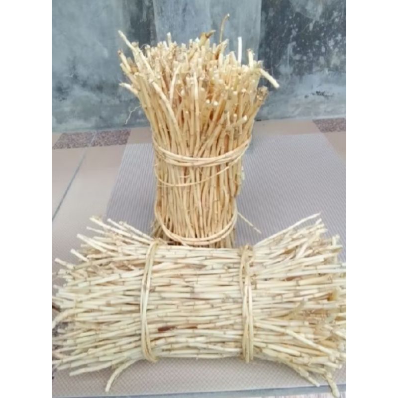 

500gram akar alang alang segar fresh 100% organik