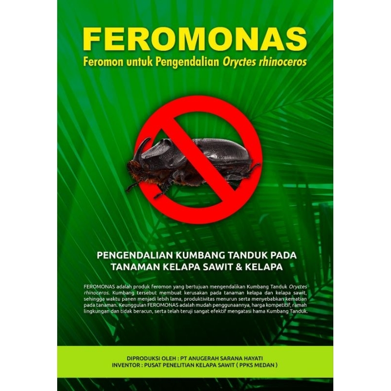 Feromonas pengendali kumbang tanduk
