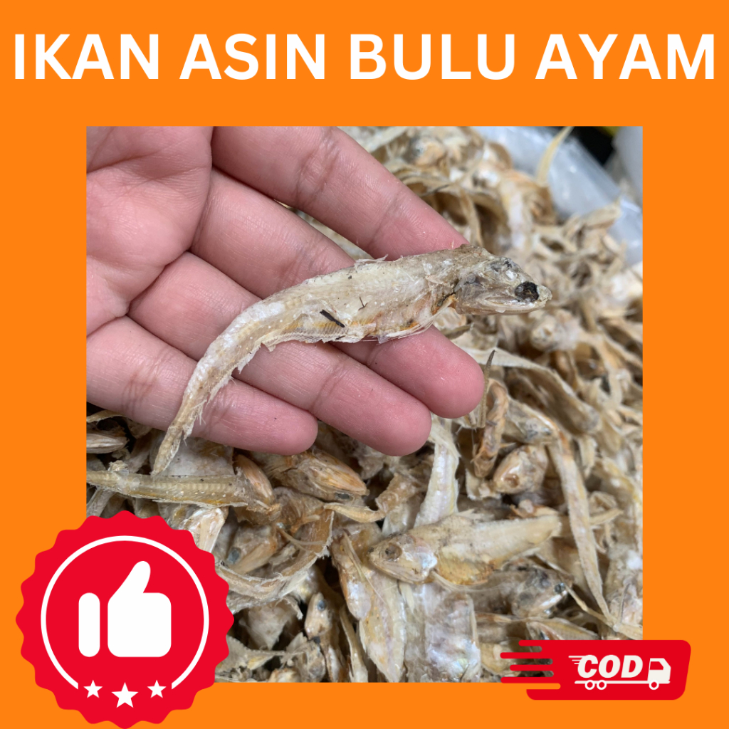 

Ikan Asin Bulu Ayam – 500 Gram & 1 Kg | Gurih, Kering, Siap Masak