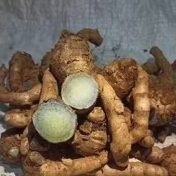 

temu hitam . kunyit hitam . mengobati peradangan dan nyeri 1000 gram