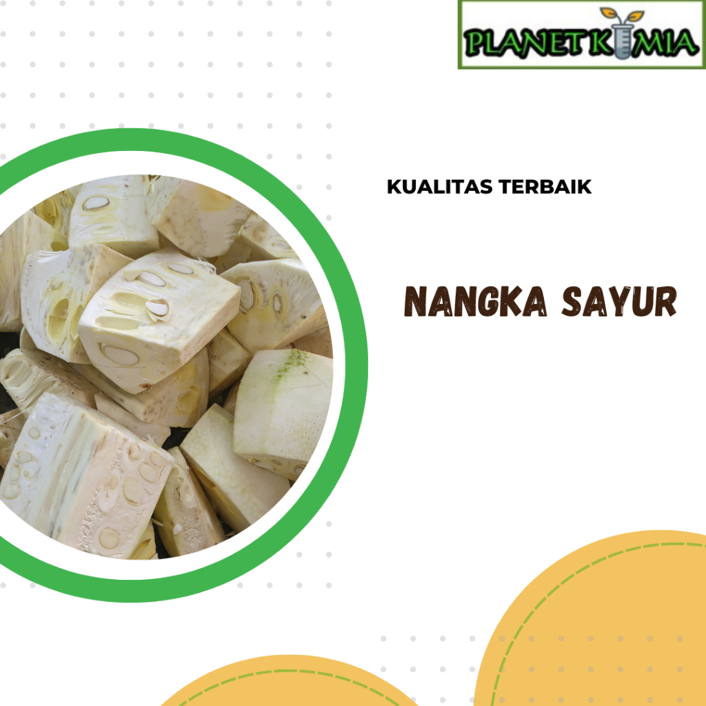

ekstrak buah nangka sayur best product