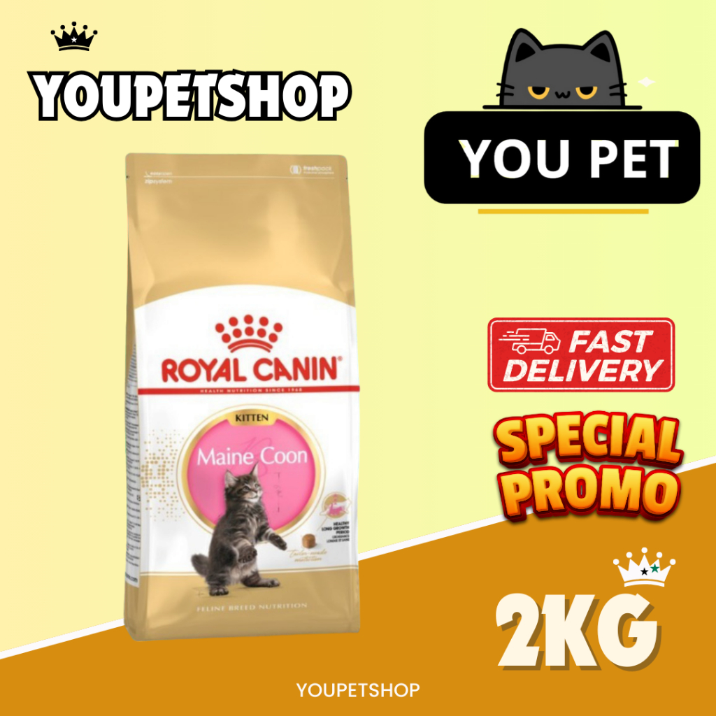Royal Canin Maine Coon Kitten 2kg