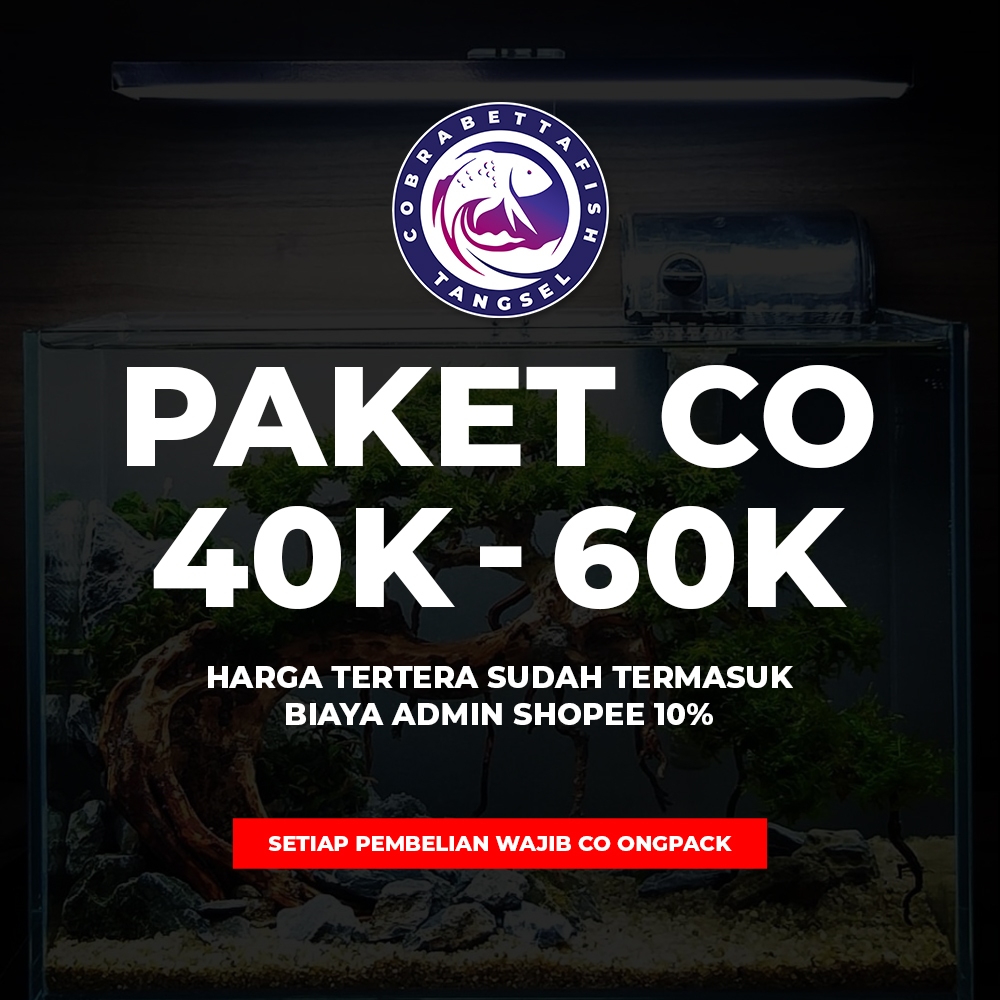 

PAKET CO LIVE 40K - 60K + ADMIN 10%