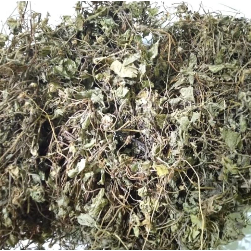 

Daun Pegagan Kering Daun Antanan Daun Kaki Kuda Kering