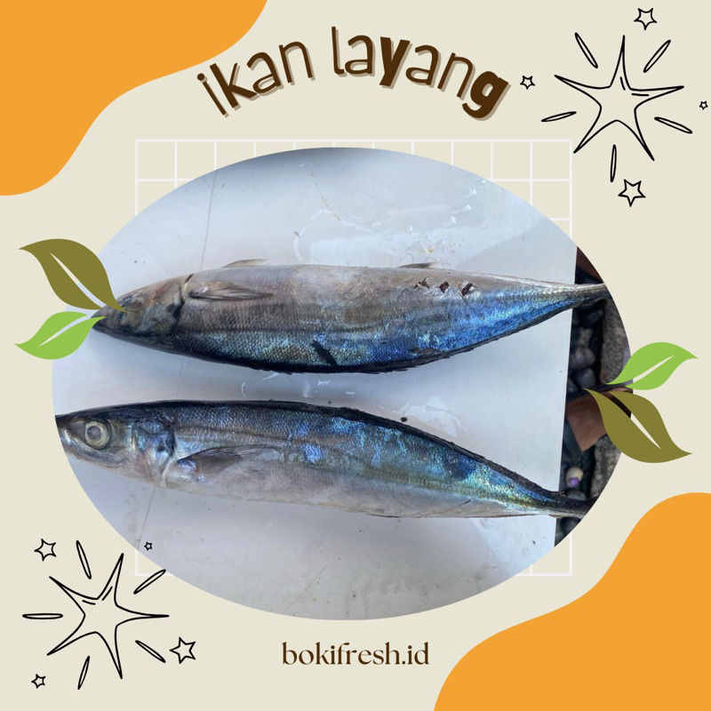 

IKAN LAYANG Premium Quality / 1 Kilogram