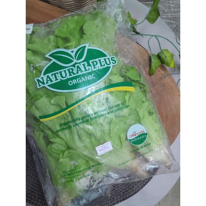 

Selada /Lettuce organic by natural plus organic All variant ( Butterhead, green, coz gijau, keriting merah All Rp 20500 ukuran 250 gr