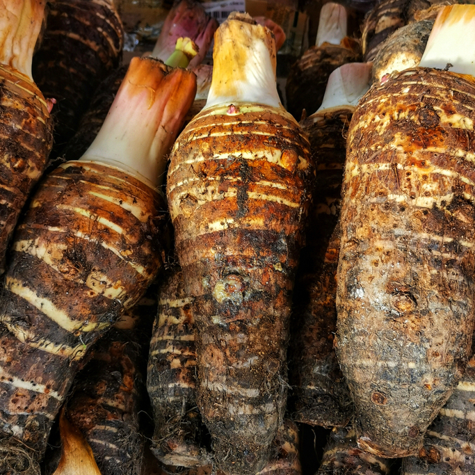 

Talas Pontianak 1 Kg Sayur Segar