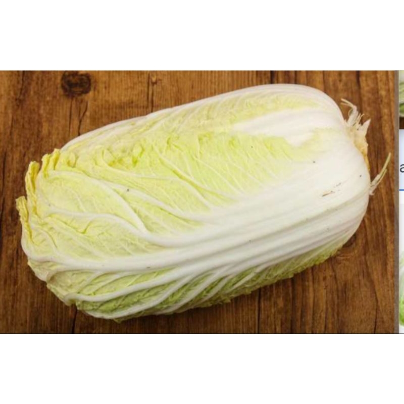 

Sayur Sawi Putih Segar ½kg - 500gram