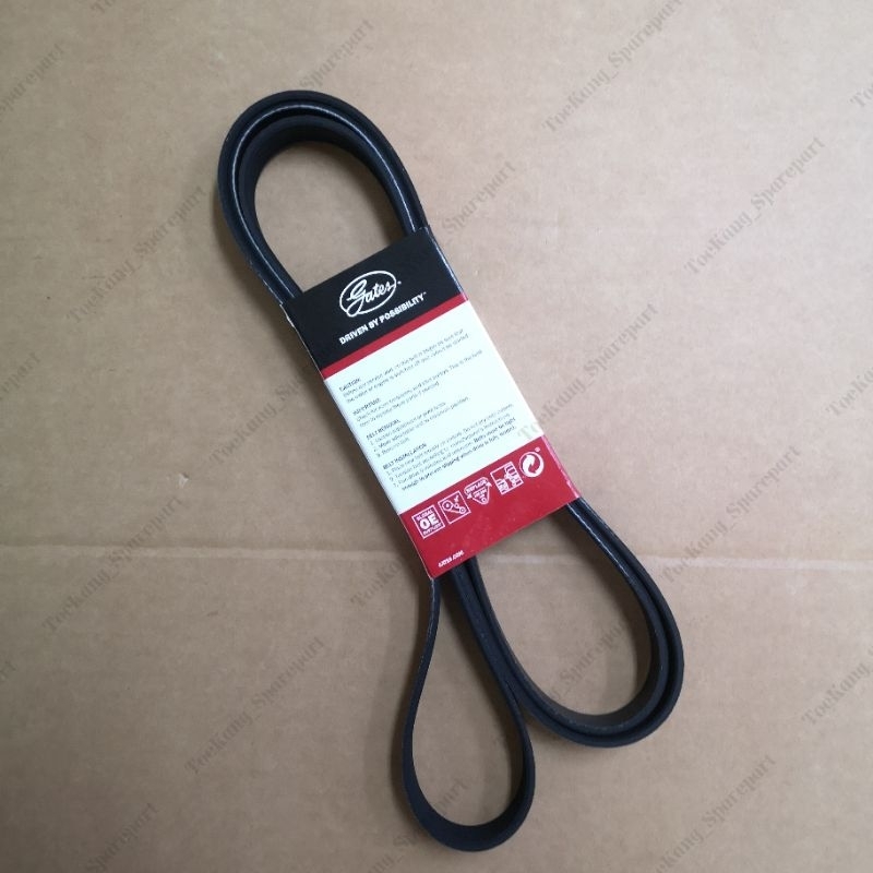 V Belt Ribbed Ford Escape 2.3 Tribute CLONE